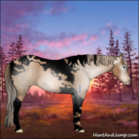 Horse Color:Gray Void Chocolate Palomino Pearl Tobiano 