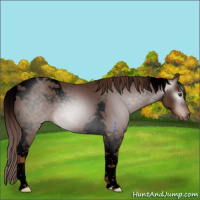 Horse Color:Gray Void Chestnut Tobiano Varnish 
