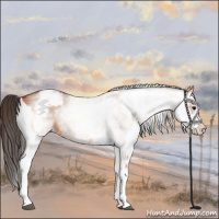 Horse Color:White Spotted Bay Dun Rabicano  and White Spotted Bay Dun Rabicano 
