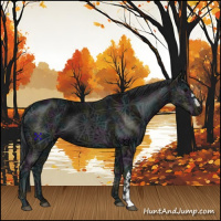 Horse Color:Midnight Black Ice 