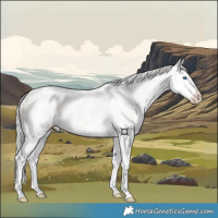 Horse Color:Platinum Silver Classic Champagne Ice Dun Splash Tobiano 