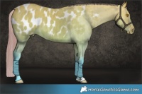 Horse Color:Watercolor Buckskin Dun Blanket Brindle 