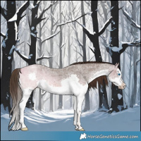 Horse Color:Liver Red Ice Roan Splash 