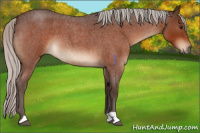 Horse Color:Silver Brown Roan 