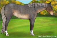 Horse Color:Silver Smoky Blue Roan 