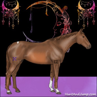 Horse Color:Chestnut Tobiano 