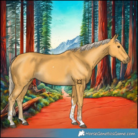 Horse Color:Palomino Tobiano Rabicano 