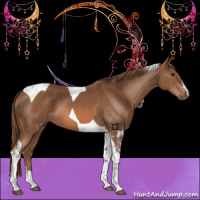 Horse Color:Chestnut Tobiano 