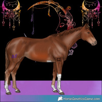 Horse Color:Chestnut Tobiano 
