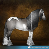 Horse Color:Gray Grullo Tobiano 