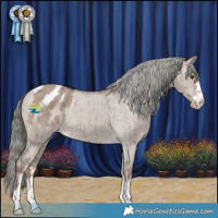 Horse Color:Liver Red Dun Mushroom Appaloosa Brindle