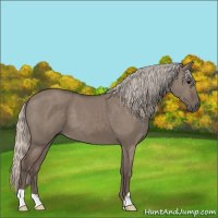 Horse Color:Silver Grullo 