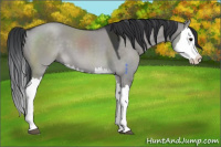 Horse Color:Platinum Brown Dun Splash 