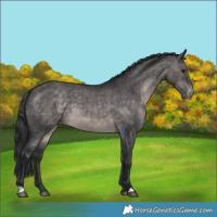 Horse Color:Platinum Brown Dun Varnish 