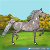 Horse Color:Platinum White Spotted Silver Brown Dun 