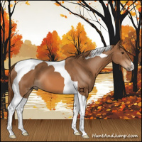 Horse Color:Chestnut Tobiano