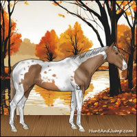 Horse Color:Chestnut Tobiano