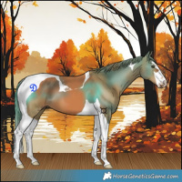 Horse Color:Chestnut Tobiano 