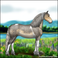 Horse Color:Silver Smoky Blue Roan Tobiano 