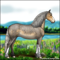 Horse Color:Silver Smoky Blue Roan 