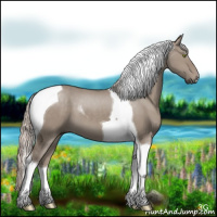 Horse Color:Silver Grullo Tobiano 