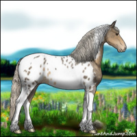 Horse Color:Silver Smoky Blue Roan Tobiano Appaloosa 