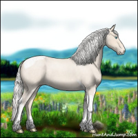 Horse Color:Silver Smoky Creme Roan Tobiano Appaloosa 