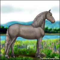 Horse Color:Silver Black 