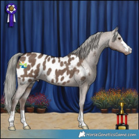 Horse Color:Liver Red Dun Mushroom Appaloosa Brindle 