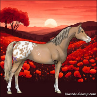 Horse Color:Chestnut Sabino Blanket