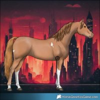 Horse Color:Chestnut Tobiano