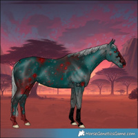 Horse Color:ERROR: UNKNOWN ANOMALY