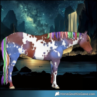Horse Color:Painted White Spotted Chestnut 