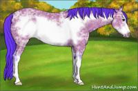 Horse Color:Watercolor Bay Ice Sabino Frame 