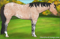 Horse Color:Bay Ice Roan 
