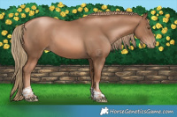 Horse Color:Liver Chestnut Pearl Sabino Tobiano 