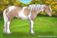 Horse Color:Liver Chestnut Pearl Mushroom Tobiano 