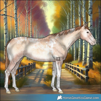 Horse Color:Gold Champagne Ice Onyx Tobiano 