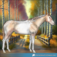 Horse Color:Gold Champagne Onyx Tobiano 