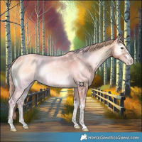 Horse Color:Gold Champagne Ice Onyx 