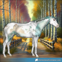 Horse Color:Red Onyx Ice Splash Tobiano 