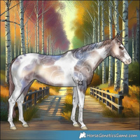 Horse Color:Red Onyx Ice Tobiano 