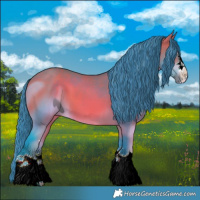 Horse Color:ERROR: UNKNOWN ANOMALY
