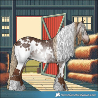 Horse Color:Gray White Spotted Chestnut Rabicano 