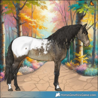Horse Color:Brown Dun Appaloosa Brindle