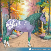 Horse Color:Watercolor Bay Dun Appaloosa Brindle