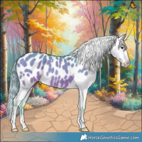 Horse Color:Watercolor Bay Dun Appaloosa Brindle