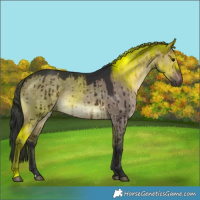 Horse Color:Brown Dun Brindle 