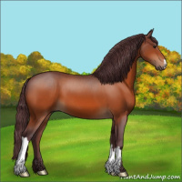 Horse Color:Chocolate Brown 