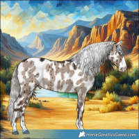 Horse Color:Liver Red Dun Mushroom Near Leopard Brindle 